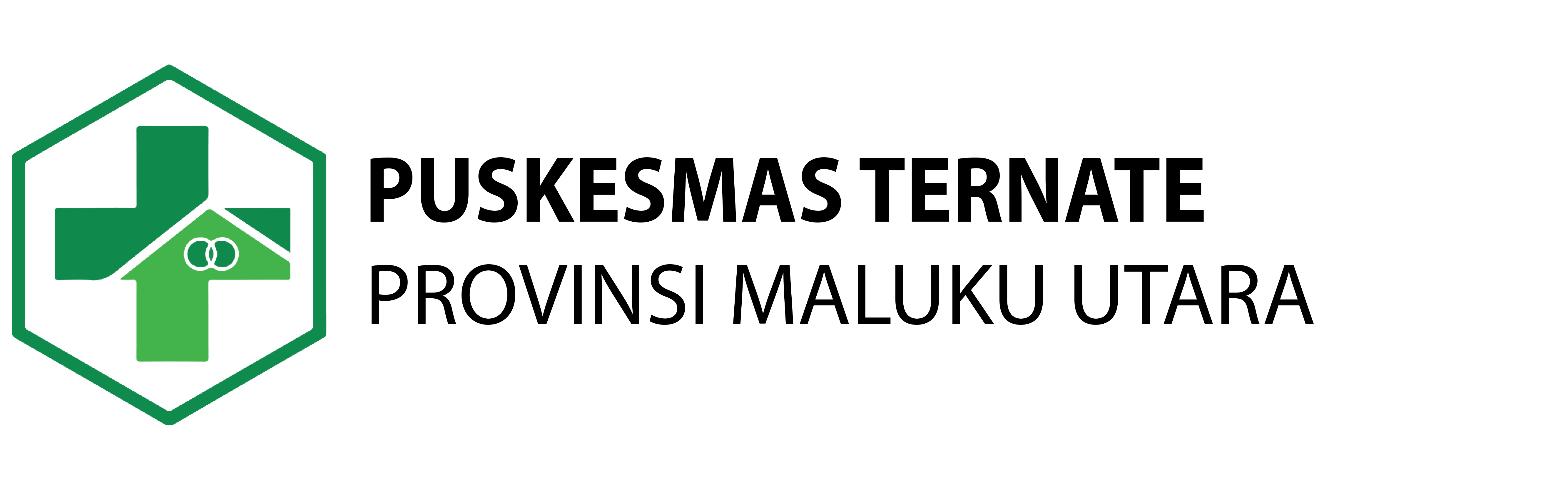 Logo Puskesmas